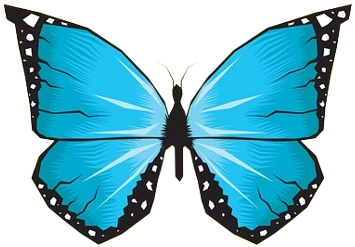 Candoach Unternehmensberatung 45 plus